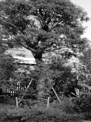武清注册公司
